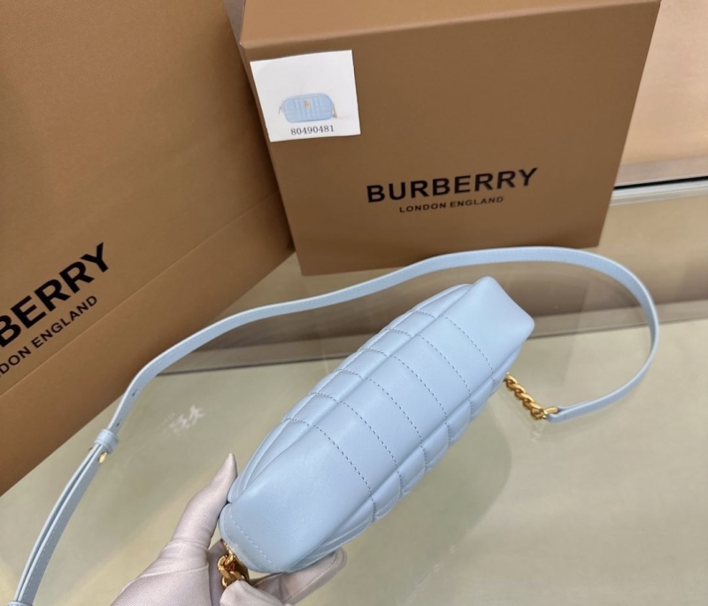 Bv*b*rry camera bags